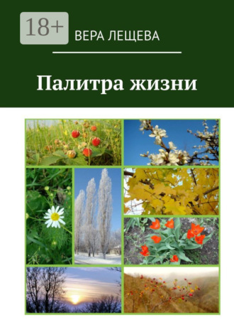 Палитра жизни