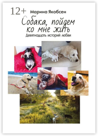Собака, пойдем ко мне жить. Девятнадцать историй любви
