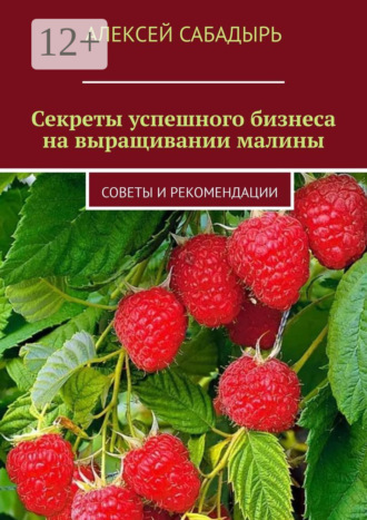 Секреты успешного бизнеса на выращивании малины. Советы и рекомендации