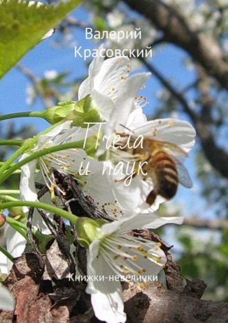 Пчела и паук. Книжки-невелички