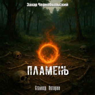 Сталкер. Истории. Пламень