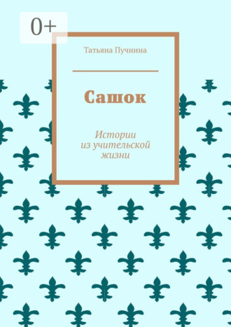 Сашок. Истории из учительской жизни