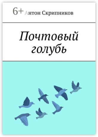 Городской голубь