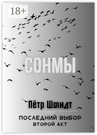 Сонмы. Последний выбор – Второй акт