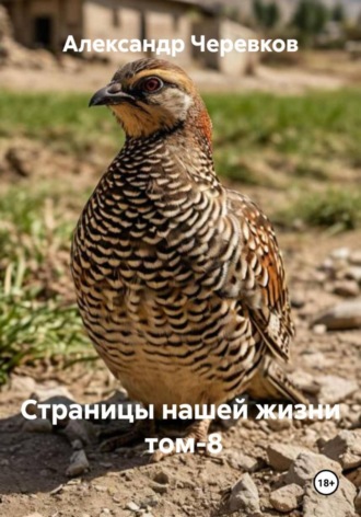 Страницы нашей жизни Том- 8