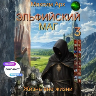 Эльфийский маг. Жизнь вне жизни