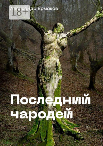 Последний чародей