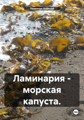 Ламинария – морская капуста.