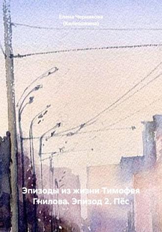 Эпизоды из жизни Тимофея Гнилова. Эпизод 2. Пёс