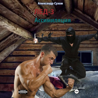 Лед 3. Ассимиляция.