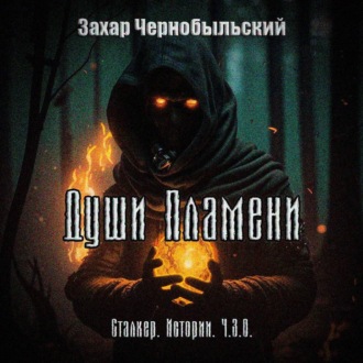 Сталкер. Истории. Ч.З.О. Души Пламени