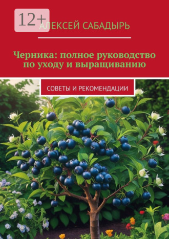 Черника: полное руководство по уходу и выращиванию. Советы и рекомендации
