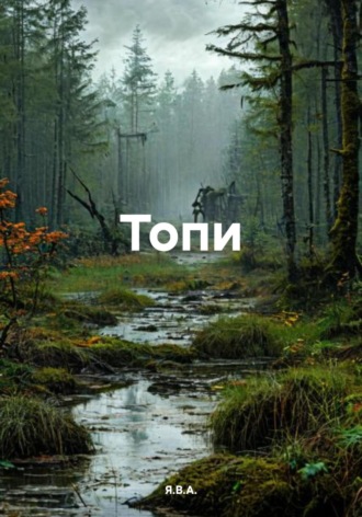 Топи