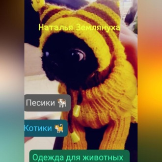 Одежда для животных