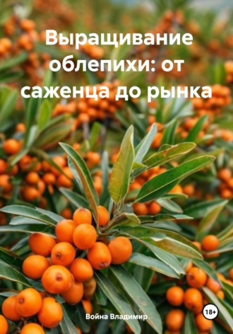 Выращивание облепихи: от саженца до рынка