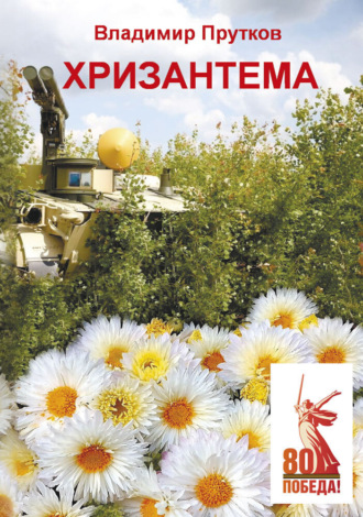 Хризантема