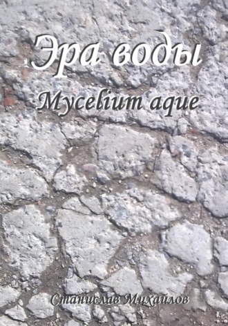 Эра воды. Mycelium Aque
