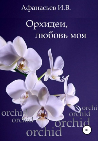 Орхидеи, любовь моя