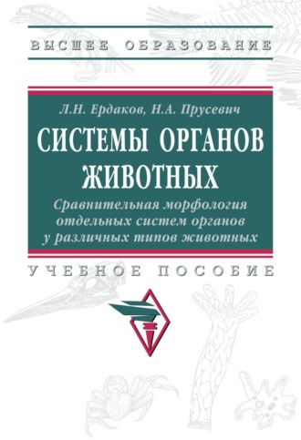 Системы органов животных. Сравнительная морфология отдельных систем органов у различных типов животных