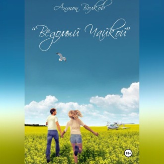 Ведомый чайкой