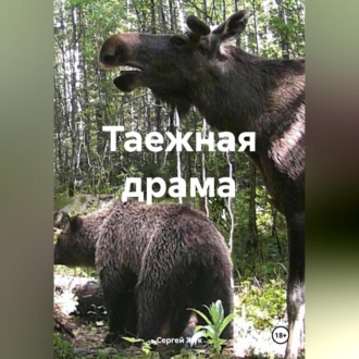 Таежная драма