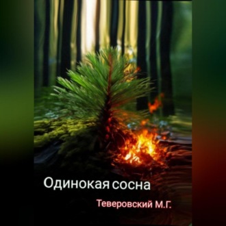 Одинокая сосна