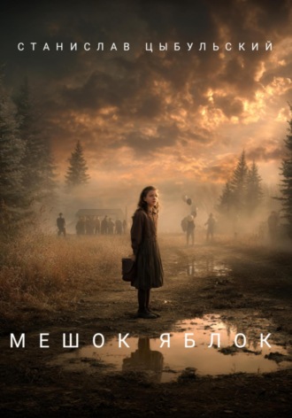 Мешок яблок