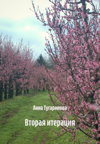 Вторая итерация