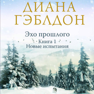 Эхо прошлого. Книга 1. Новые испытания