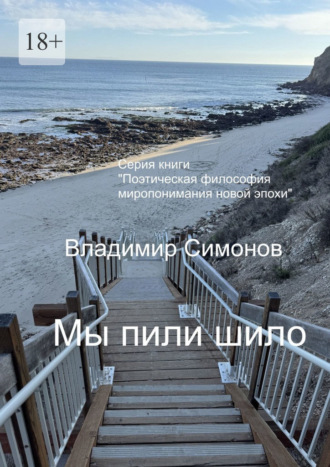 Мы пили шило. Серия: «Поэтическая философия миропонимания новой эпохи»
