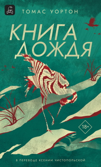Книга дождя