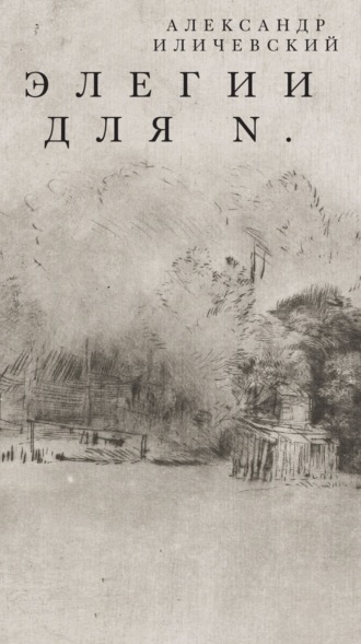 Элегии для N.