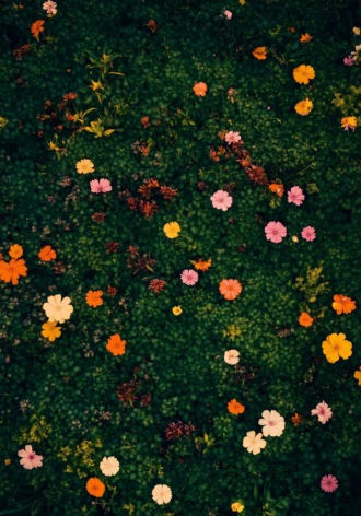 Один из нас умрет