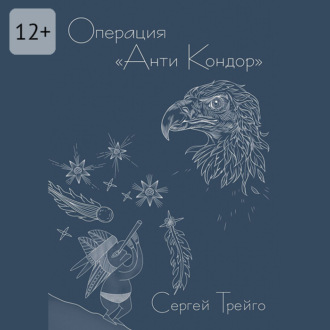 Операция «Анти-Кондор»