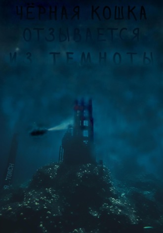 Чёрная кошка отзывается из темноты