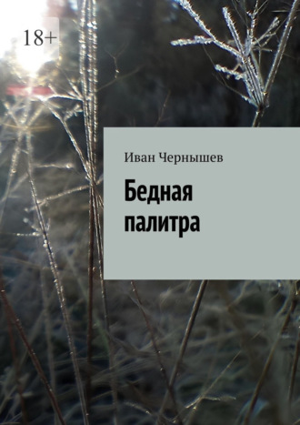 Бедная палитра