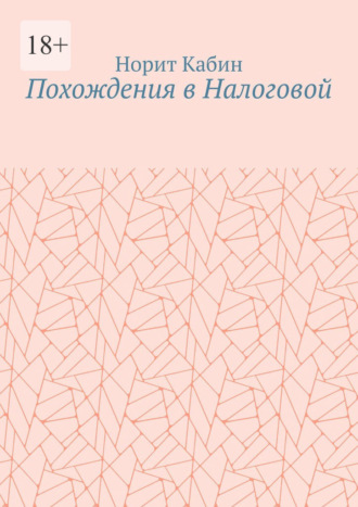 Похождения в Налоговой