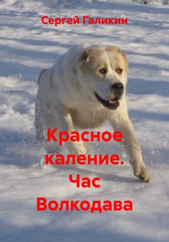 Красное каление. Час Волкодава