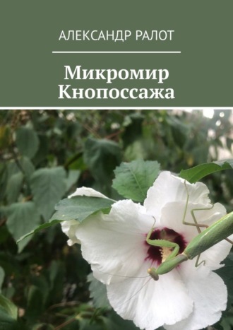 Микромир Кнопоссажа