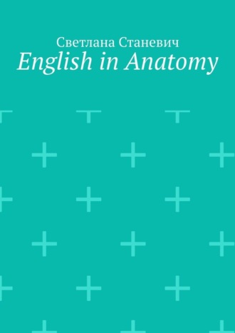 English in Anatomy
