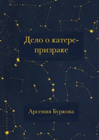 Дело о катере-призраке