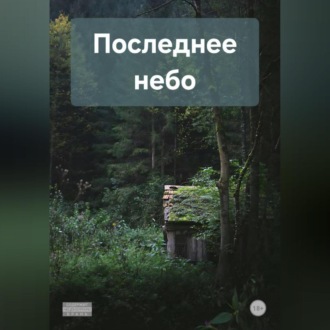 Последнее небо
