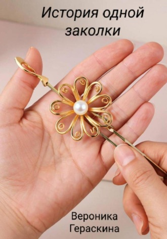 История одной заколки