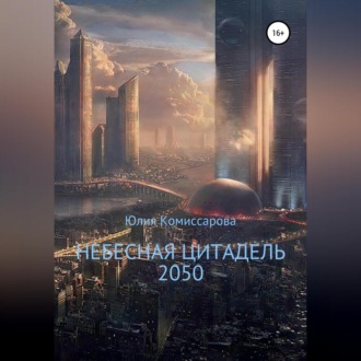 Небесная цитадель – 2050