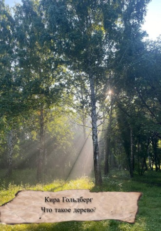 Что такое дерево?