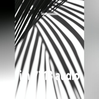 im-7713 audio