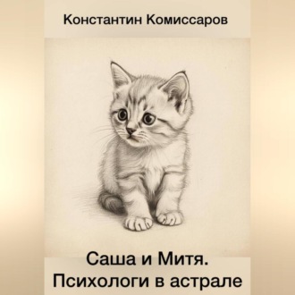 Саша и Митя. Психологи в астрале