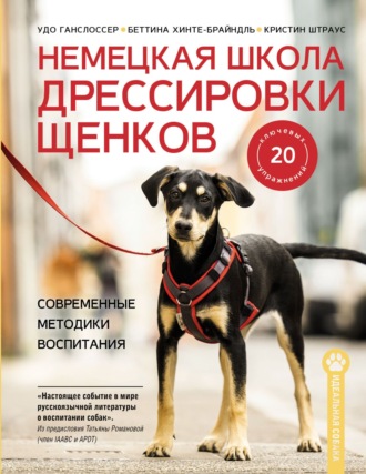 Немецкая школа дрессировки щенков. Современные методики воспитания