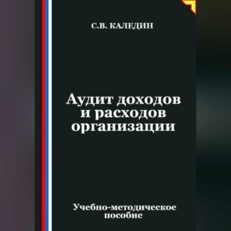 Аудит доходов и расходов организации