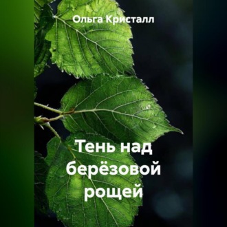 Тень над берёзовой рощей